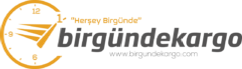 Bir Günde Kargo logosu