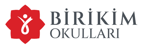 Birikim Okulları logosu