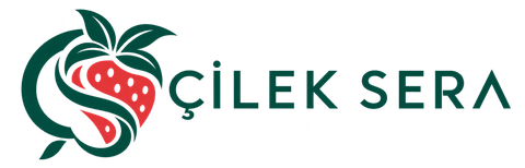 Çilek Sera logosu