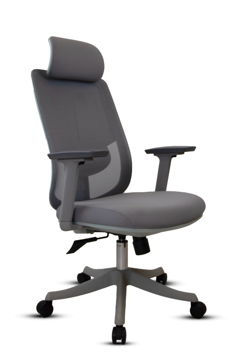 ATLAS BAŞLIKLI GRİ YÖNETİCİ KOLTUĞU - 2