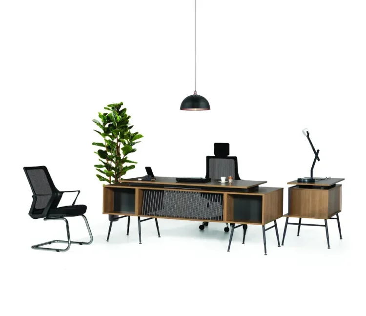 ATOM PİYANO BAROK MAKAM TAKIMI - 2