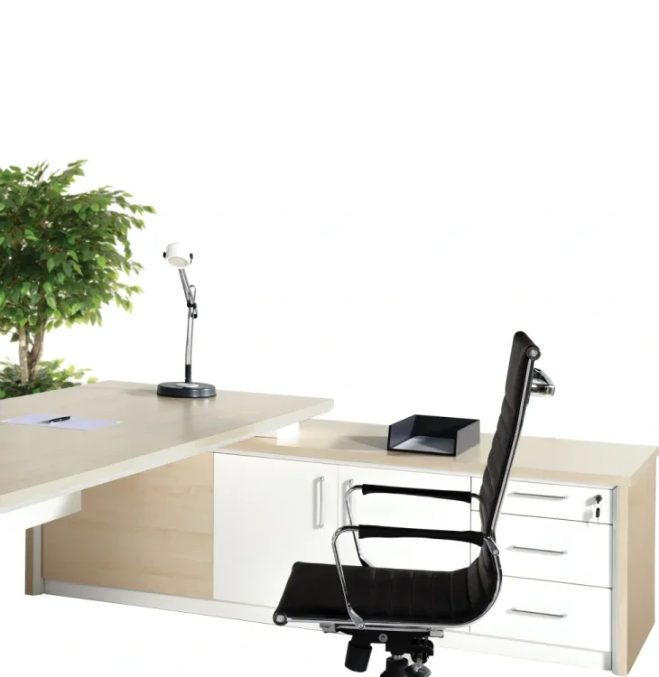 ATOM WALK HUŞ YÖNETİCİ OFİS TAKIMI - 4