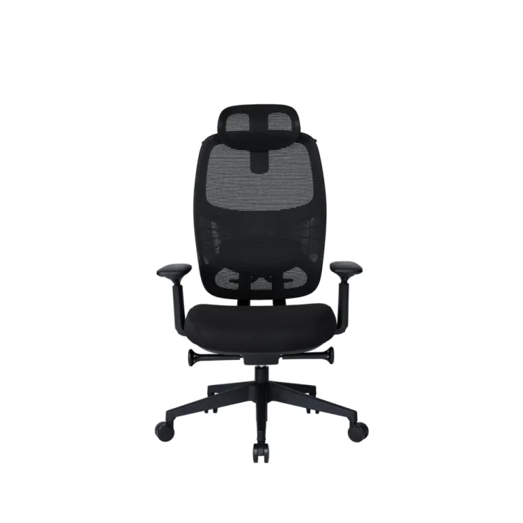 DOVE 4D FİLE SIRT YÖNETİCİ KOLTUĞU - 1