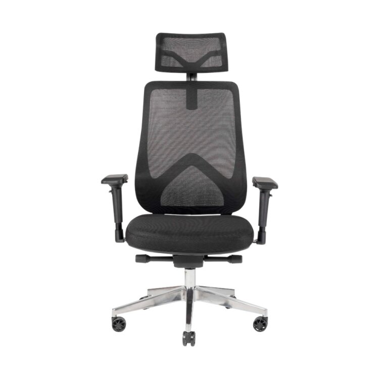 DRAGON 4D FİLELİ YÖNETİCİ KOLTUĞU - 1