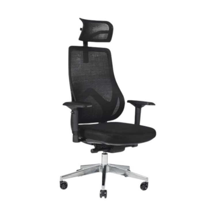 DRAGON 4D FİLELİ YÖNETİCİ KOLTUĞU - 2