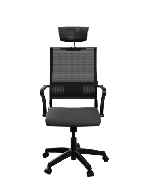 ERGOLIFE SIT AIR YÖNETİCİ KOLTUĞU - 1