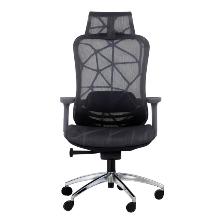 GLORY GRAY YÖNETİCİ ÇALIŞMA KOLTUĞU - 1