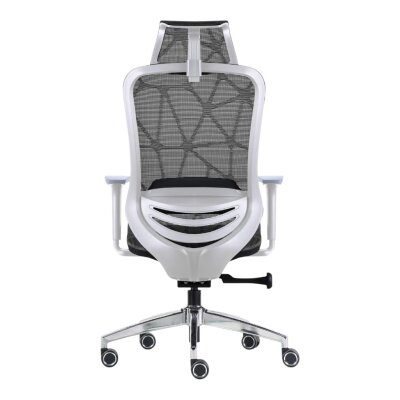 GLORY YÖNETİCİ ÇALIŞMA KOLTUĞU - 5