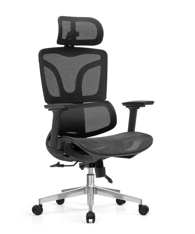 LILIUM MESH YÖNETİCİ ÇALIŞMA KOLTUĞU - 1