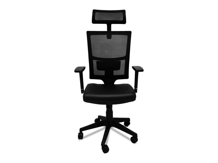 LİSA YÖNETİCİ KOLTUĞU - 1