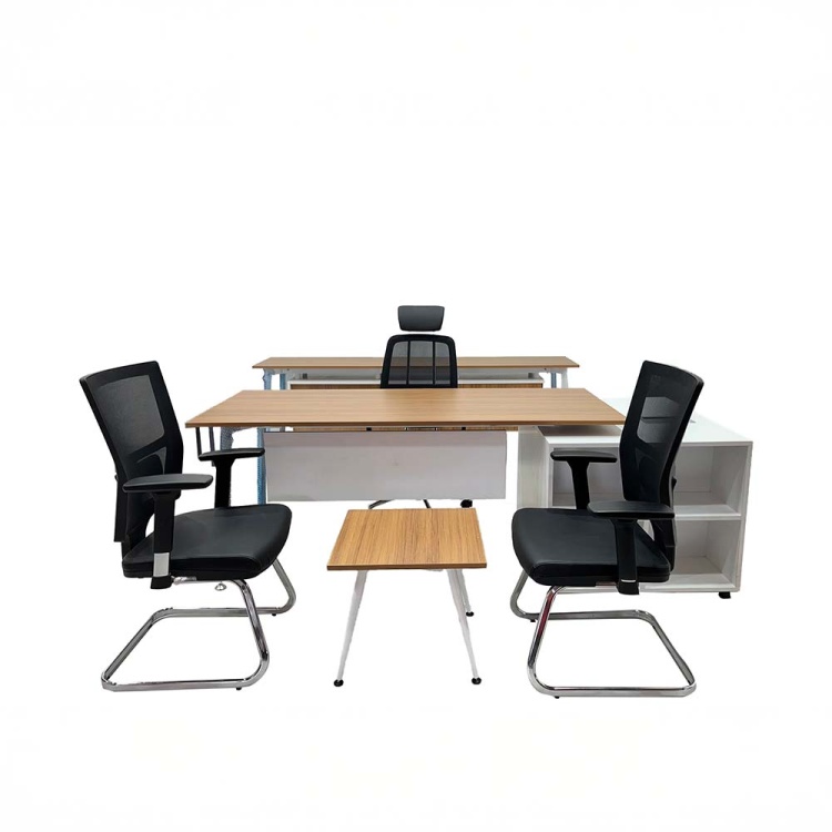 MARBELLA YÖNETİCİ TAKIMI - 1