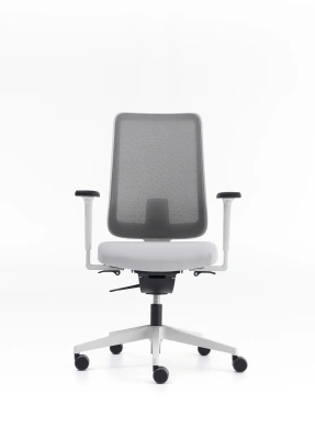 NURUS MOU PRO DYNAMIC AÇIK GRİ ÇALIŞMA KOLTUĞU - 1