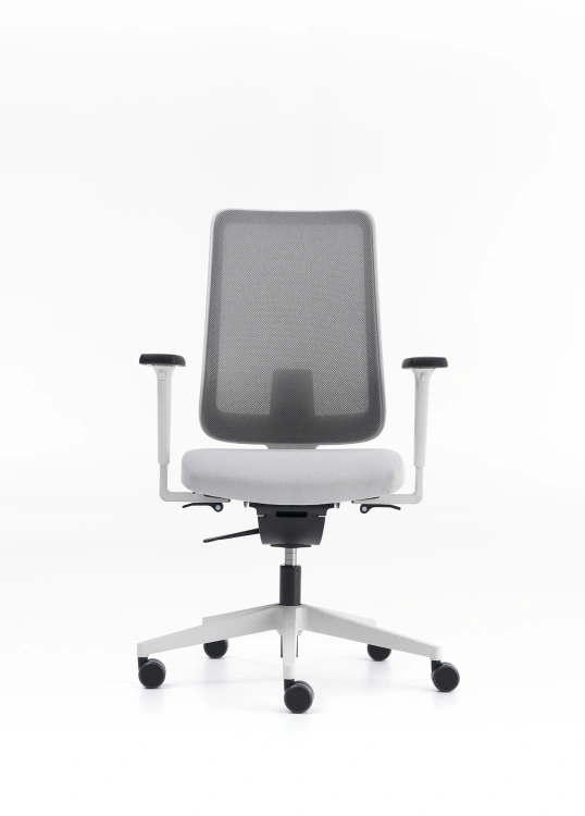 NURUS MOU PRO DYNAMIC AÇIK GRİ ÇALIŞMA KOLTUĞU - 1