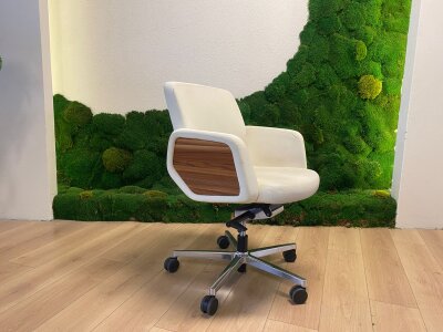 NURUS SACHA BEYAZ TOPLANTI KOLTUĞU (1 YIL GARANTİ) - NURUS (1)