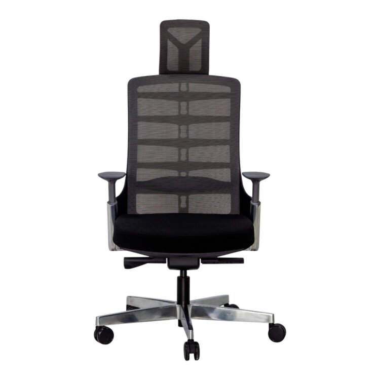 SPINE BLACK YÖNETİCİ ÇALIŞMA KOLTUĞU - 1