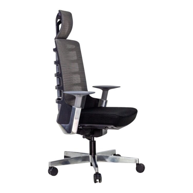 SPINE BLACK YÖNETİCİ ÇALIŞMA KOLTUĞU - 2