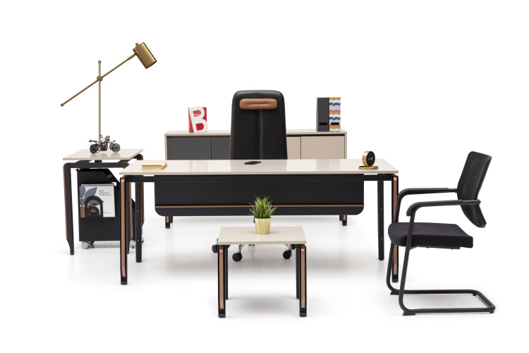 ZOOM YÖNETİCİ OFİS TAKIMI - 1