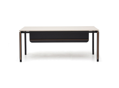 ZOOM YÖNETİCİ OFİS TAKIMI - 3