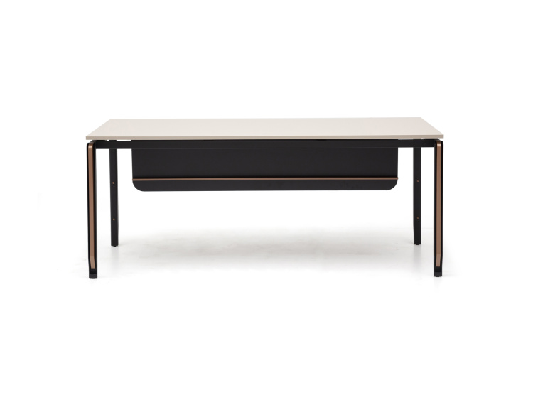 ZOOM YÖNETİCİ OFİS TAKIMI - 3